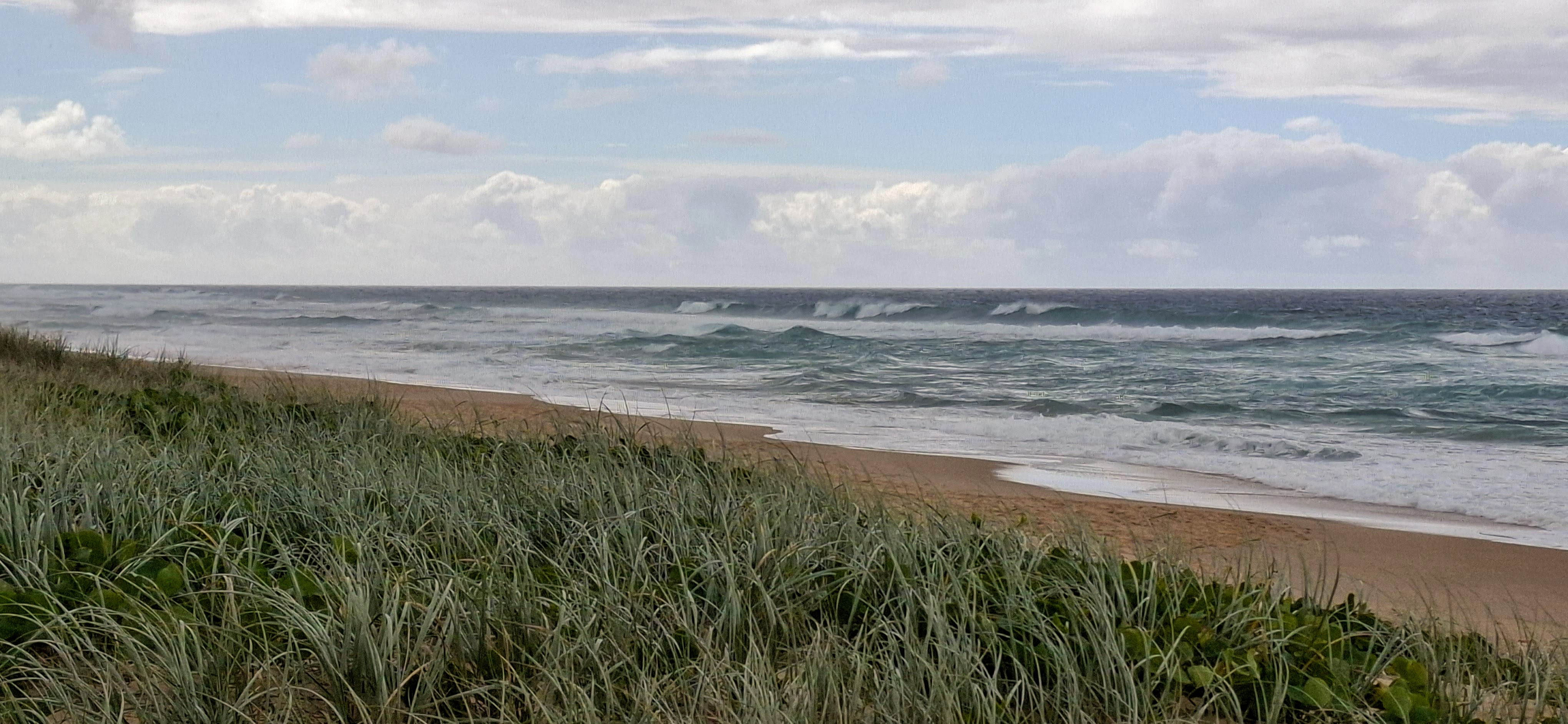 buddina-beach-sea-grass-waves