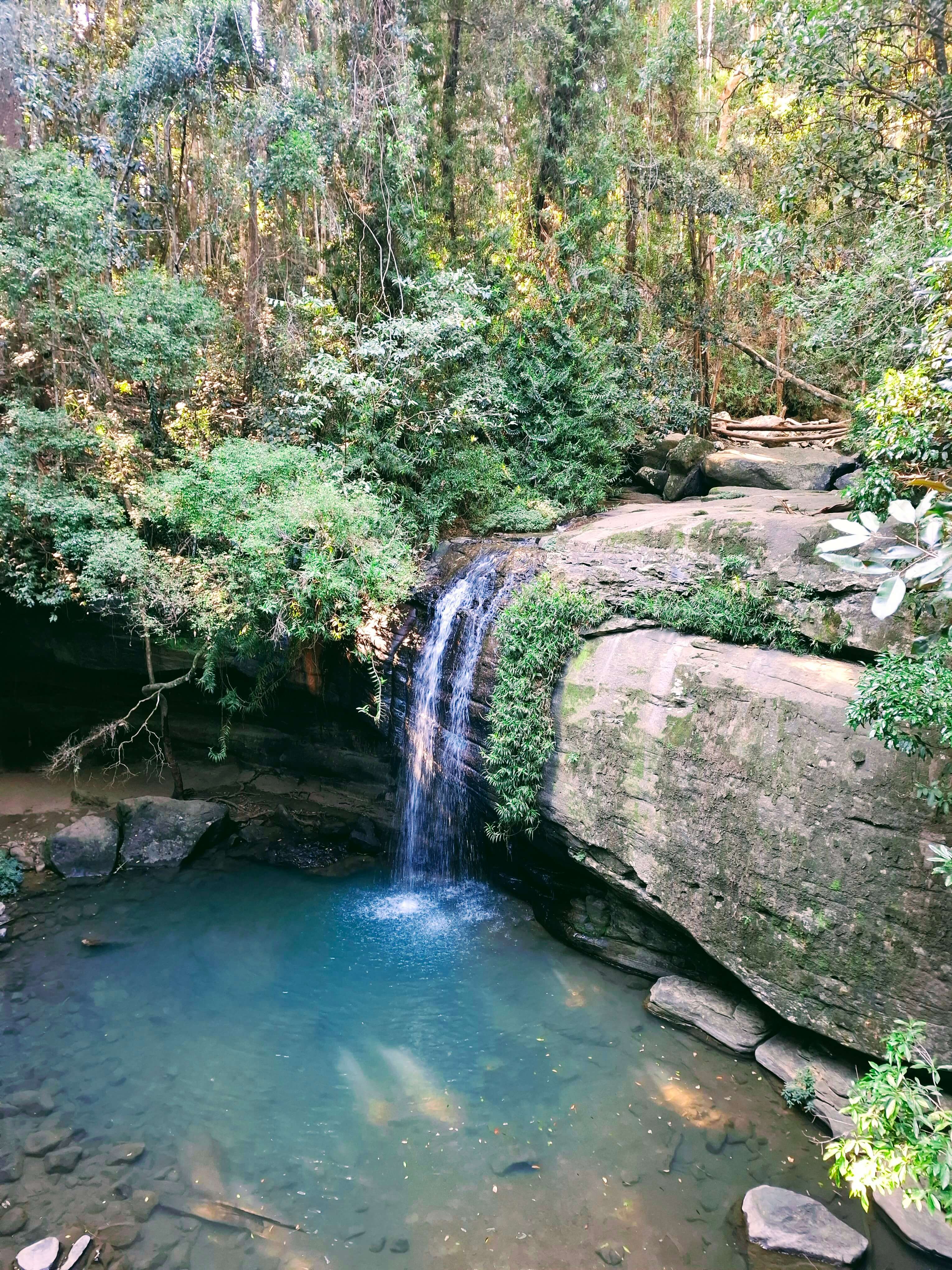 Buderim Falls almost glows blue in winter