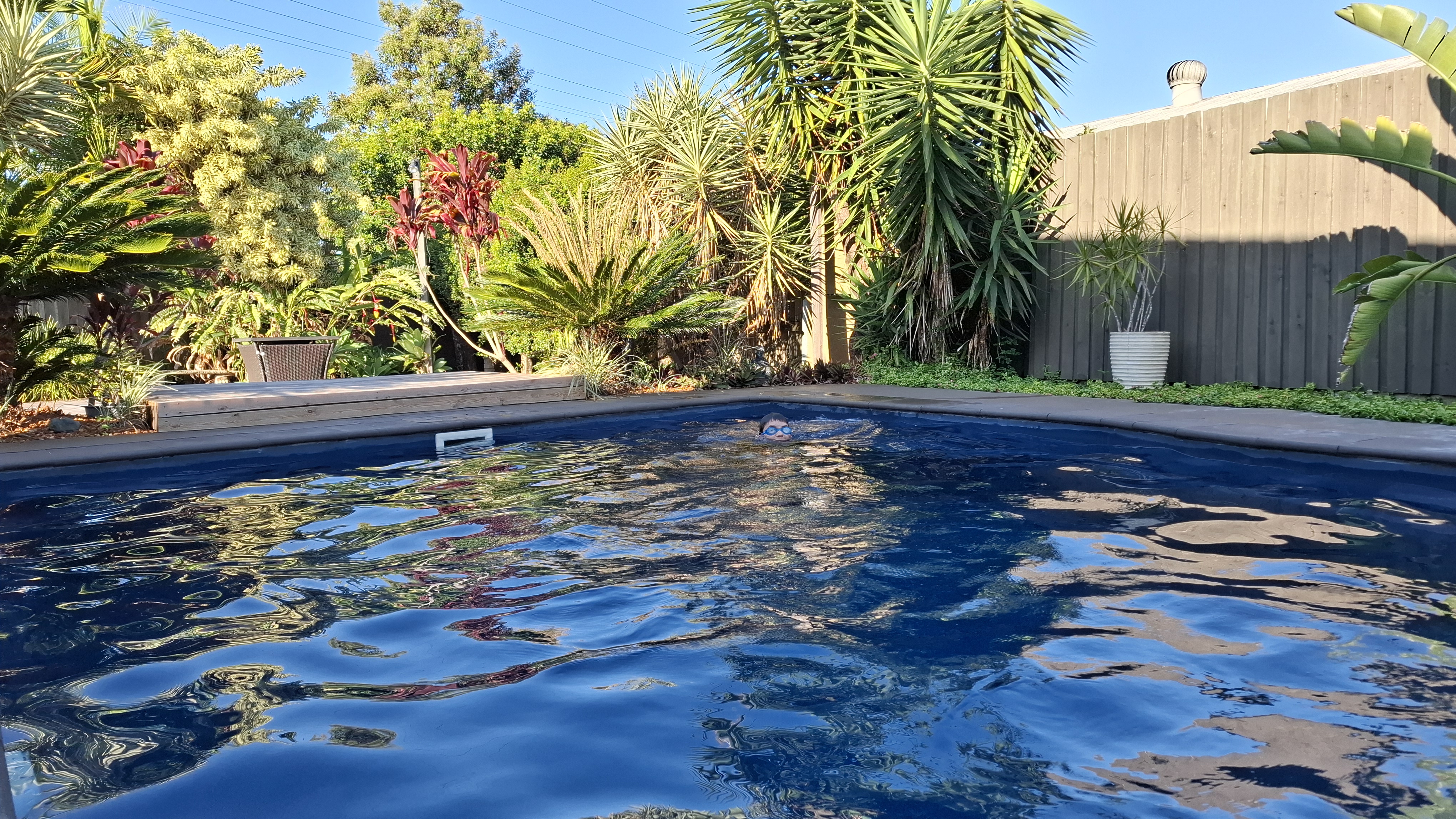 swimming in the family pool on Christmas Day swimming in the family pool on Christmas Day