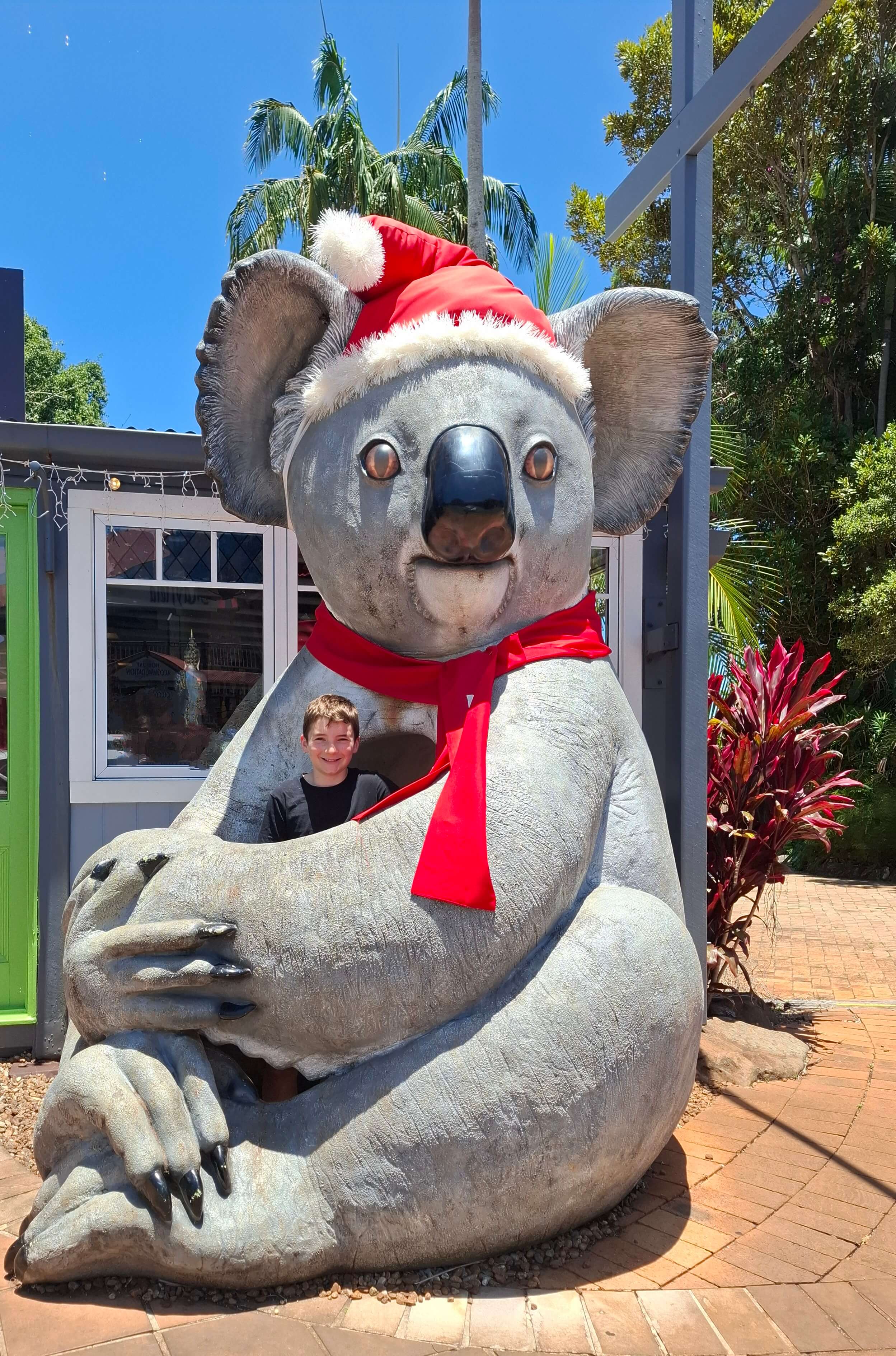 Big koala dressed for Christmas