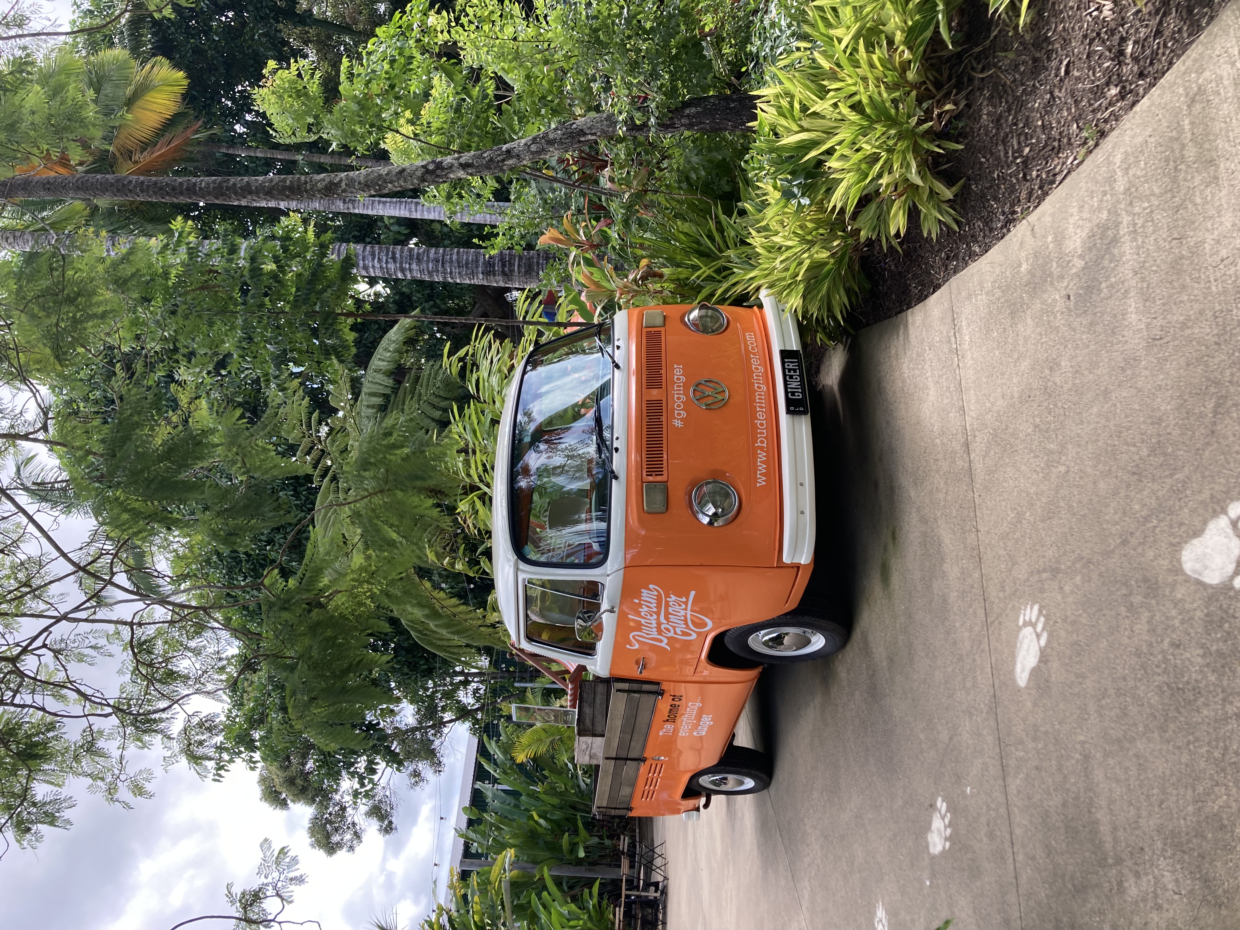 Orange-Ginger-Factory-Vehicle Orange-Ginger-Factory-Vehicle