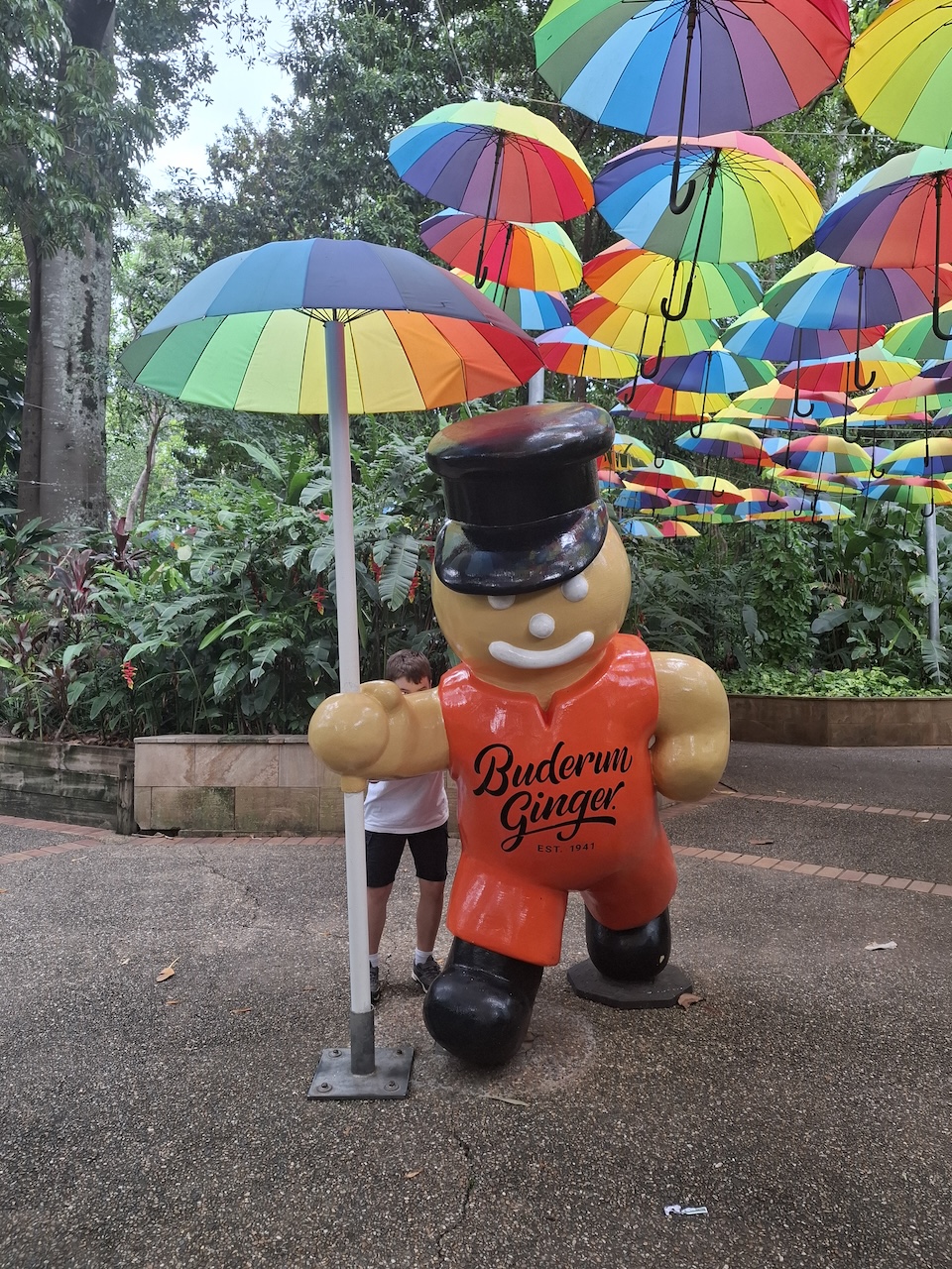 Gingerbread-Man-with-Rainbow-Umbrellas Gingerbread-Man-with-Rainbow-Umbrellas