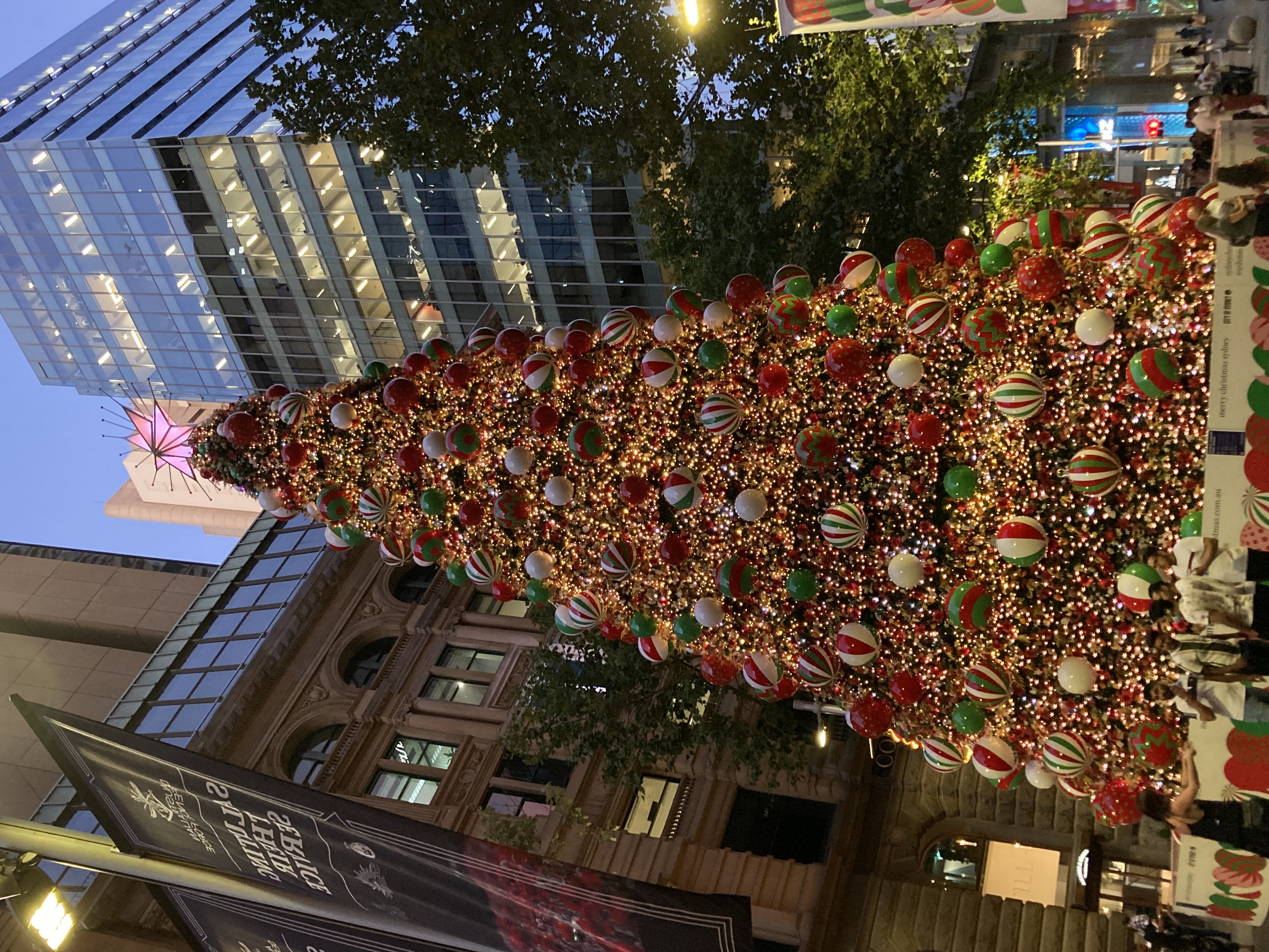 Martin Place Sydney Christmas tree Martin Place Sydney Christmas tree