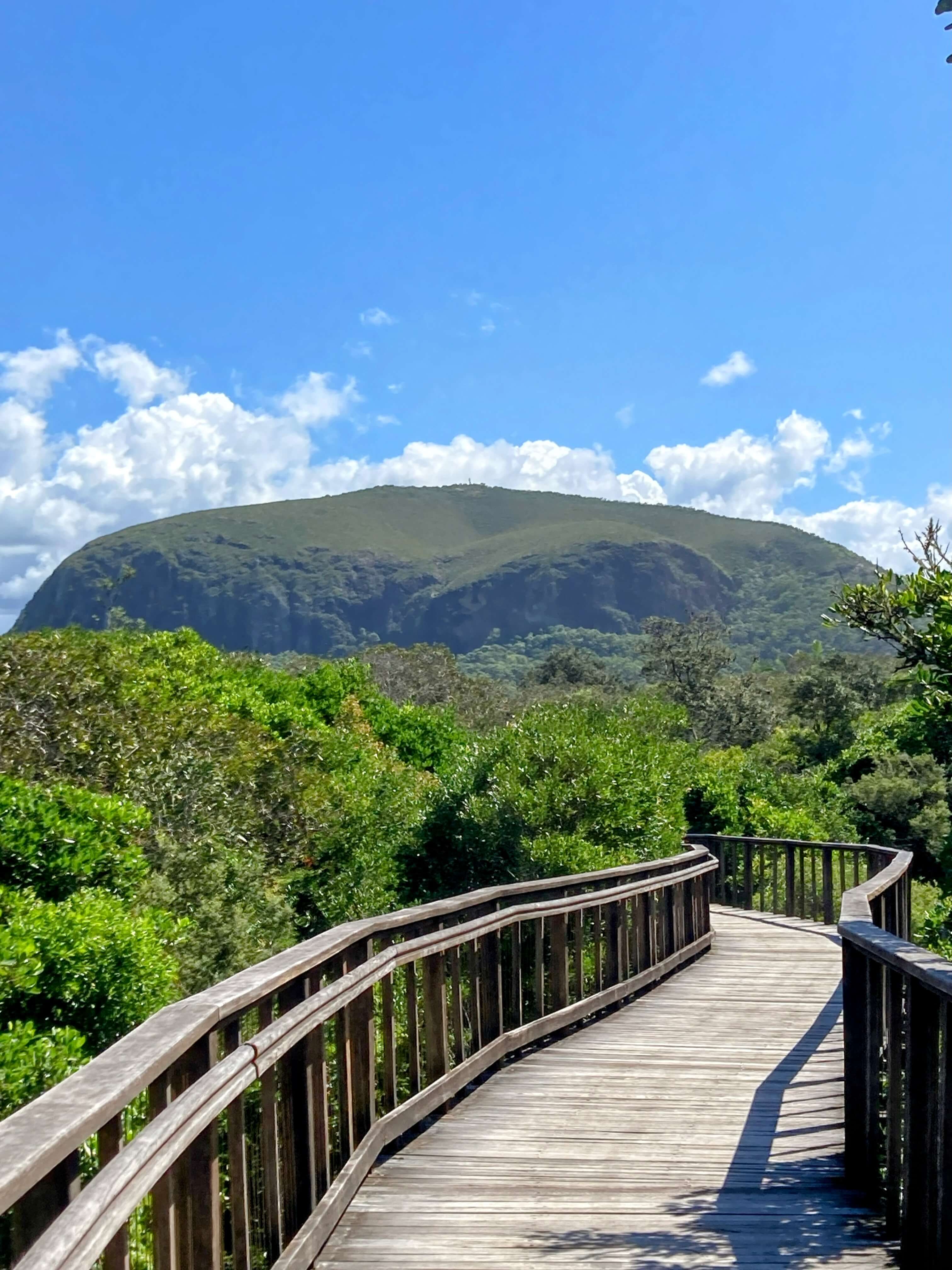 Mount Coolum in distance. Boardwalk in foreground