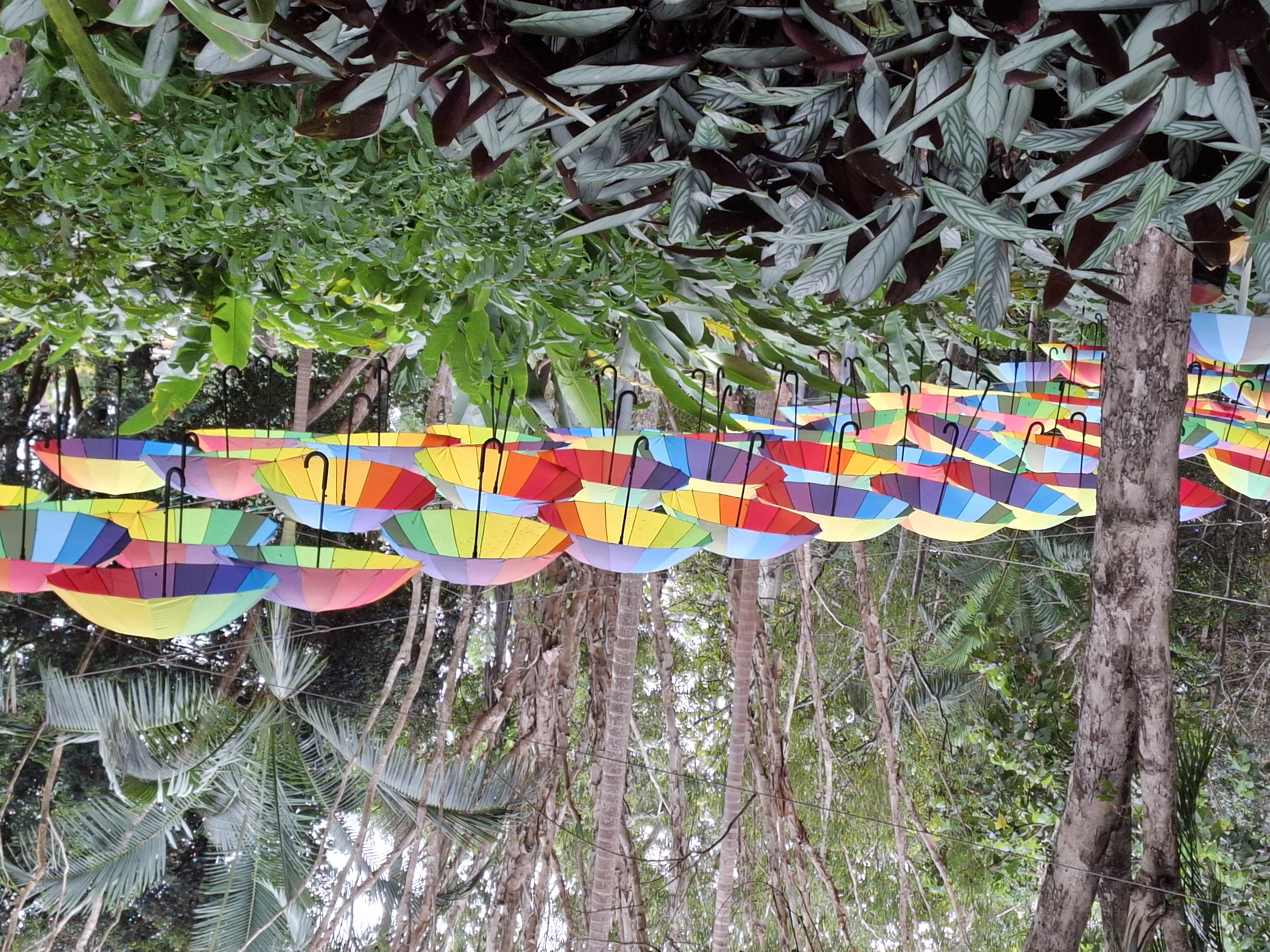 Rainbow-Umbrealla-Trail-Art-Installation Rainbow-Umbrealla-Trail-Art-Installation