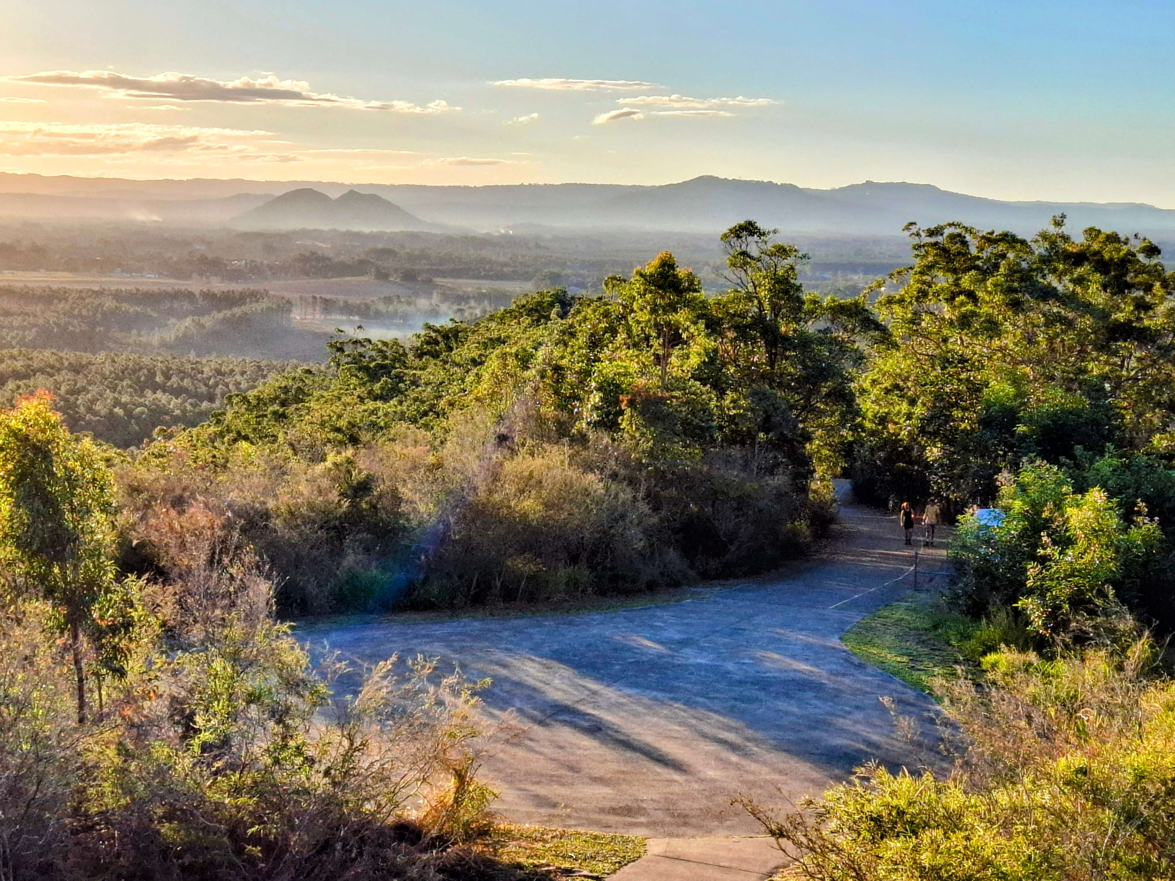 View of the trail back down as seen from Fire Tower