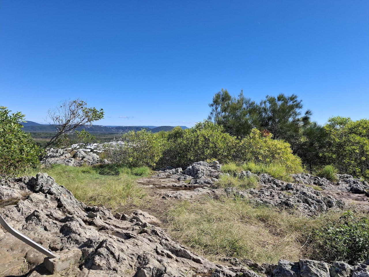 Scraggy bushes and lots of rocks on the top of Emu Mountain