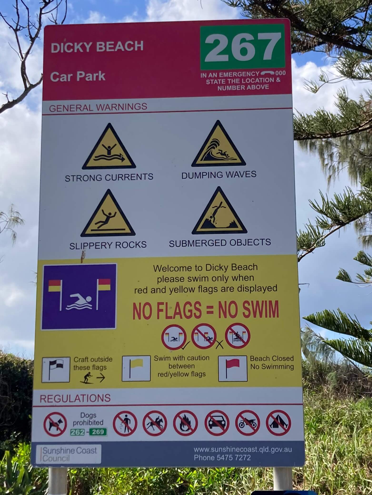 beach sign, lifeguards on duty, no dogs allowed