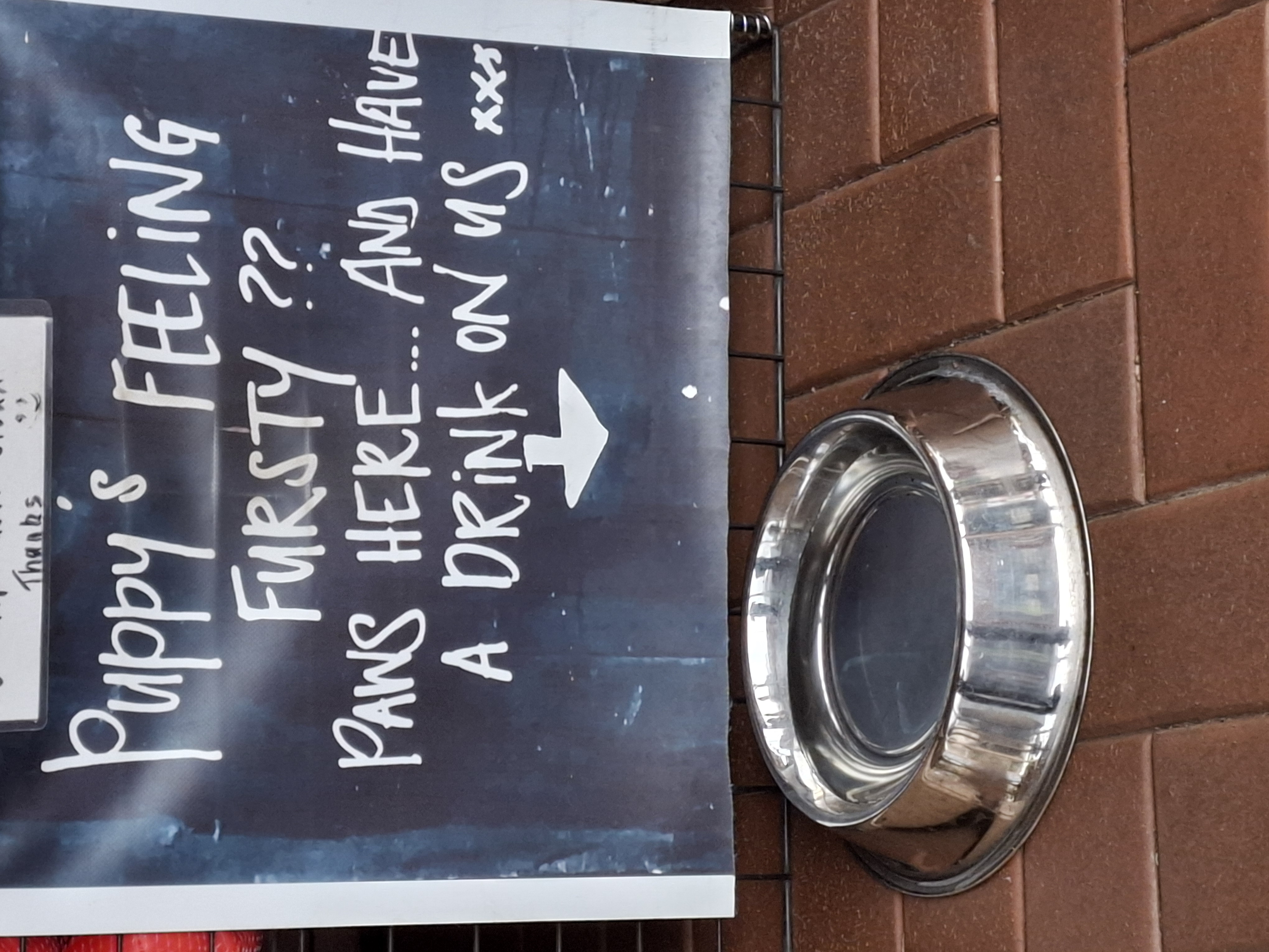 dog water dish and chalkboard sign dog water dish and chalkboard sign