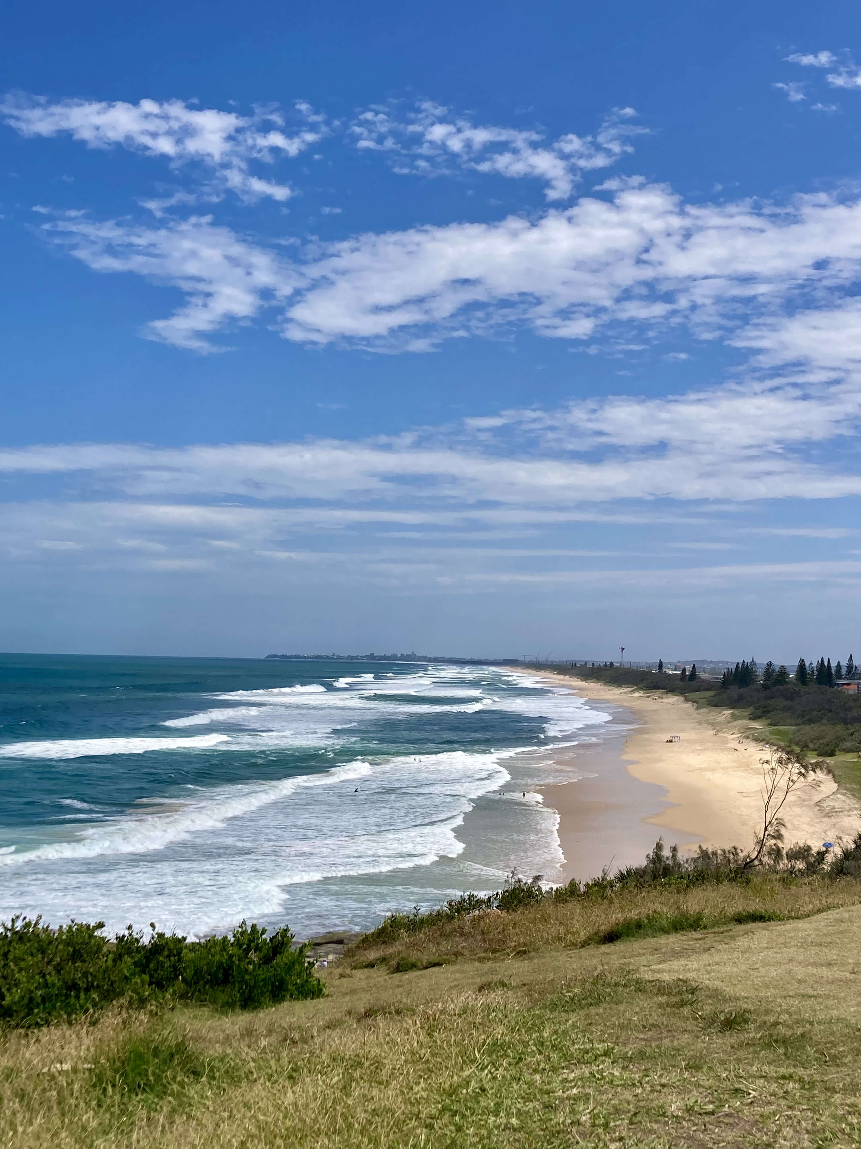 overlooking kawana beach from point cartwright overlooking kawana beach from point cartwright