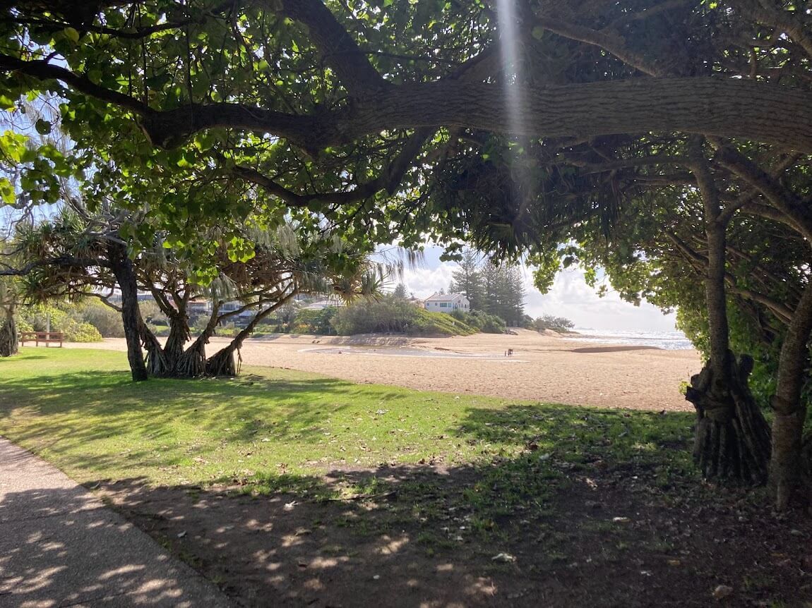 looking from footpath to the right through trees to sand and sea beyond