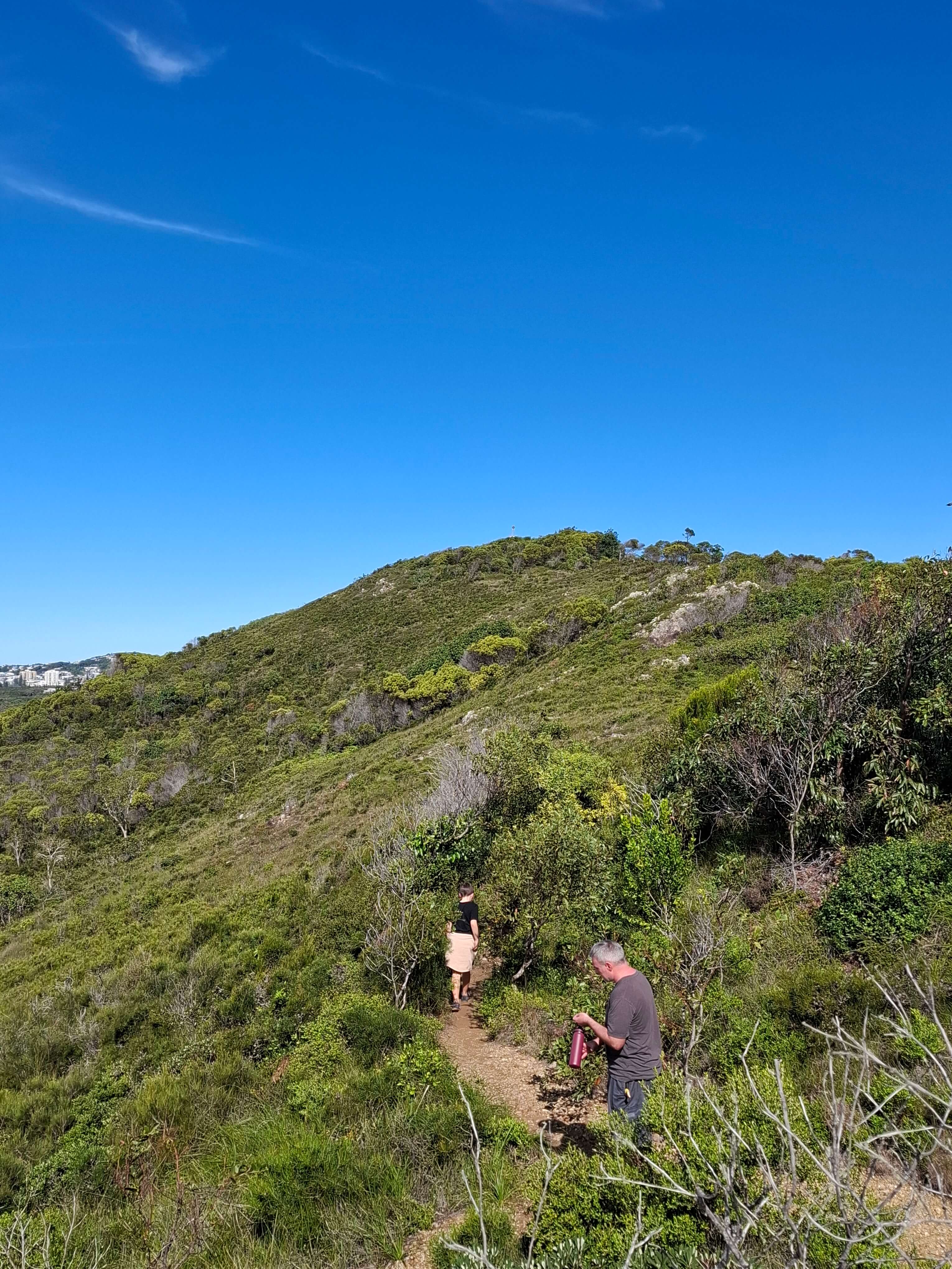 trail narrows near the summit