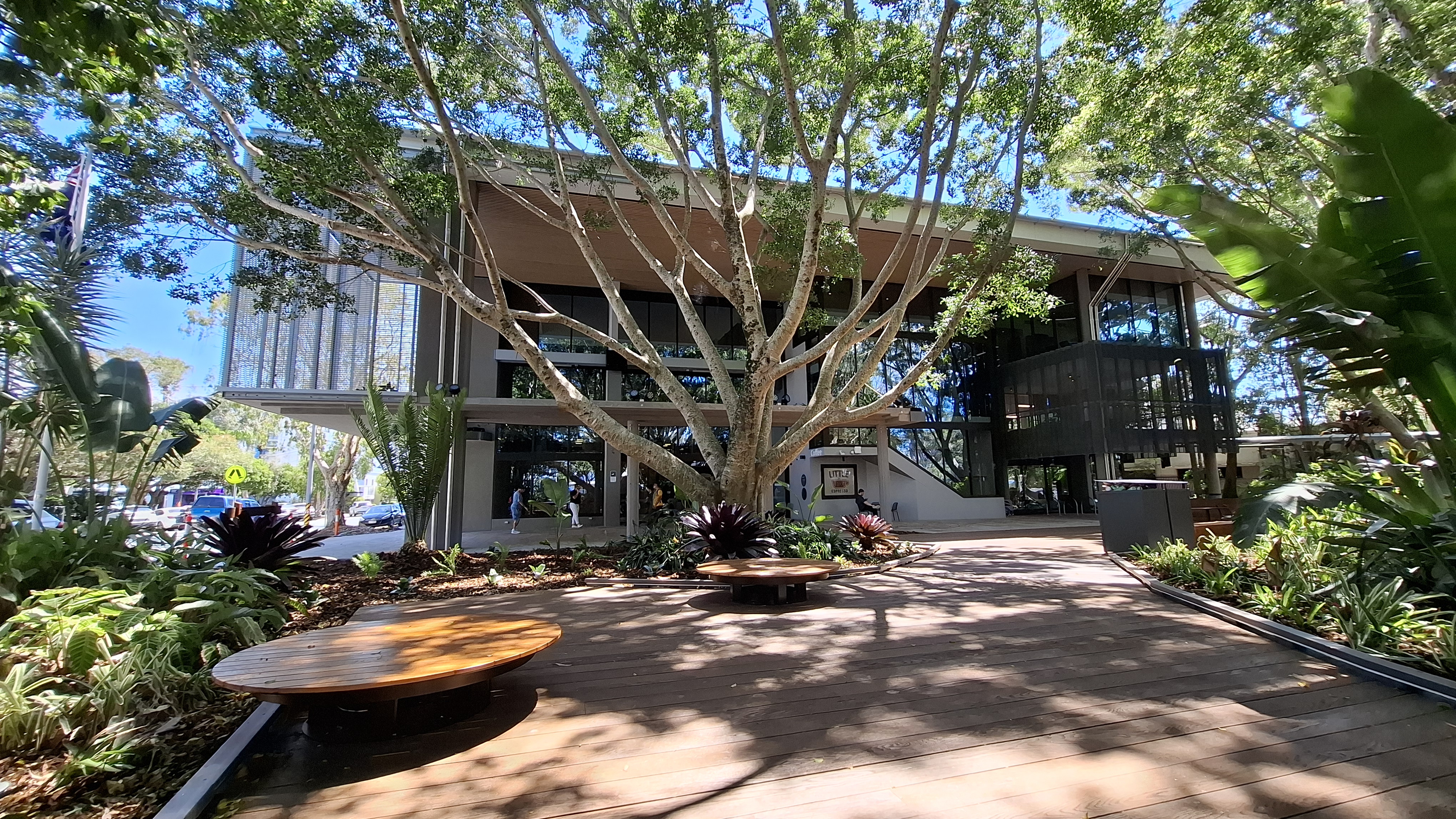 rainforest setting outside Caloundra library rainforest setting outside Caloundra library