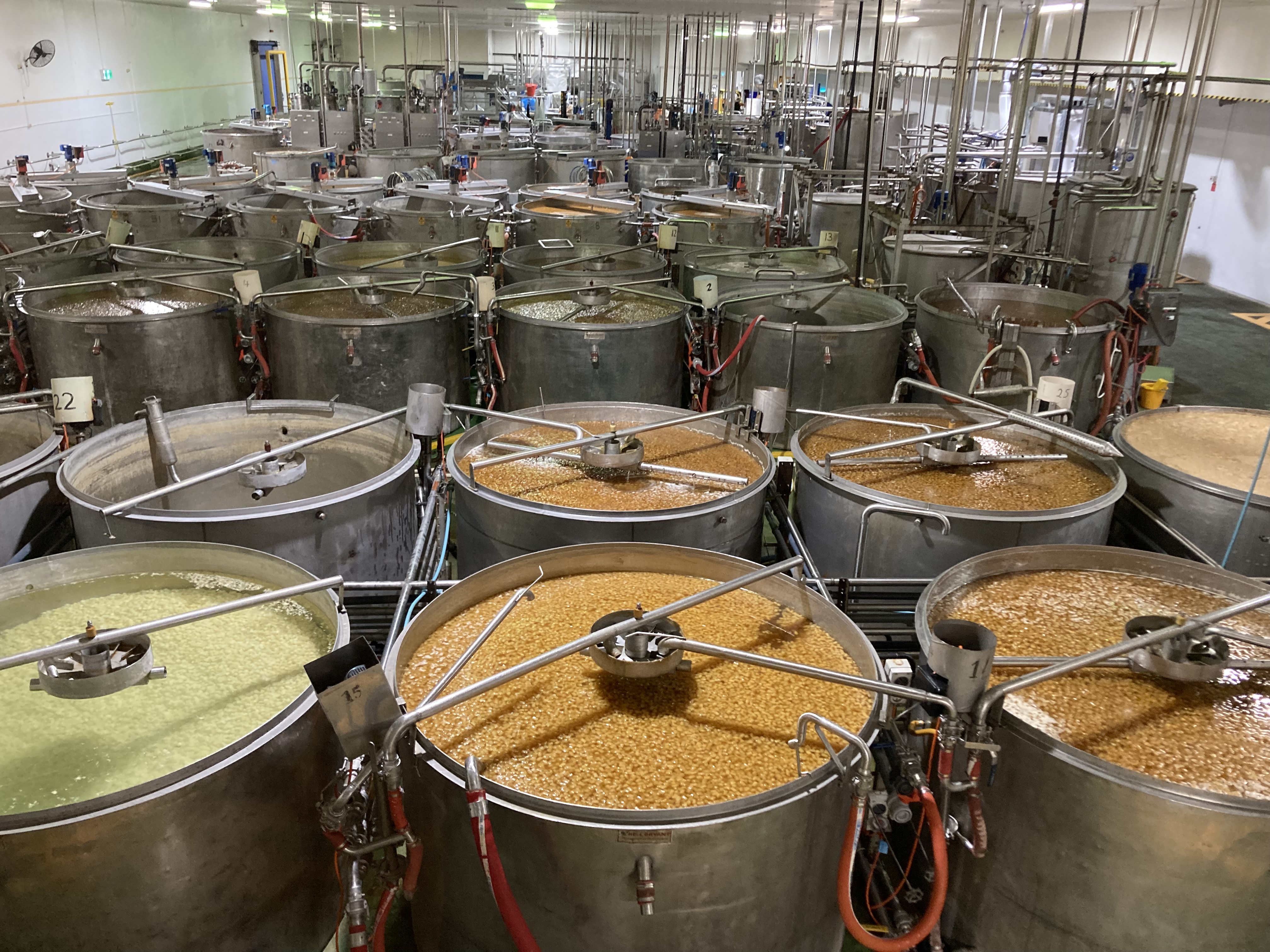 Vats-of-Ginger Vats-of-Ginger