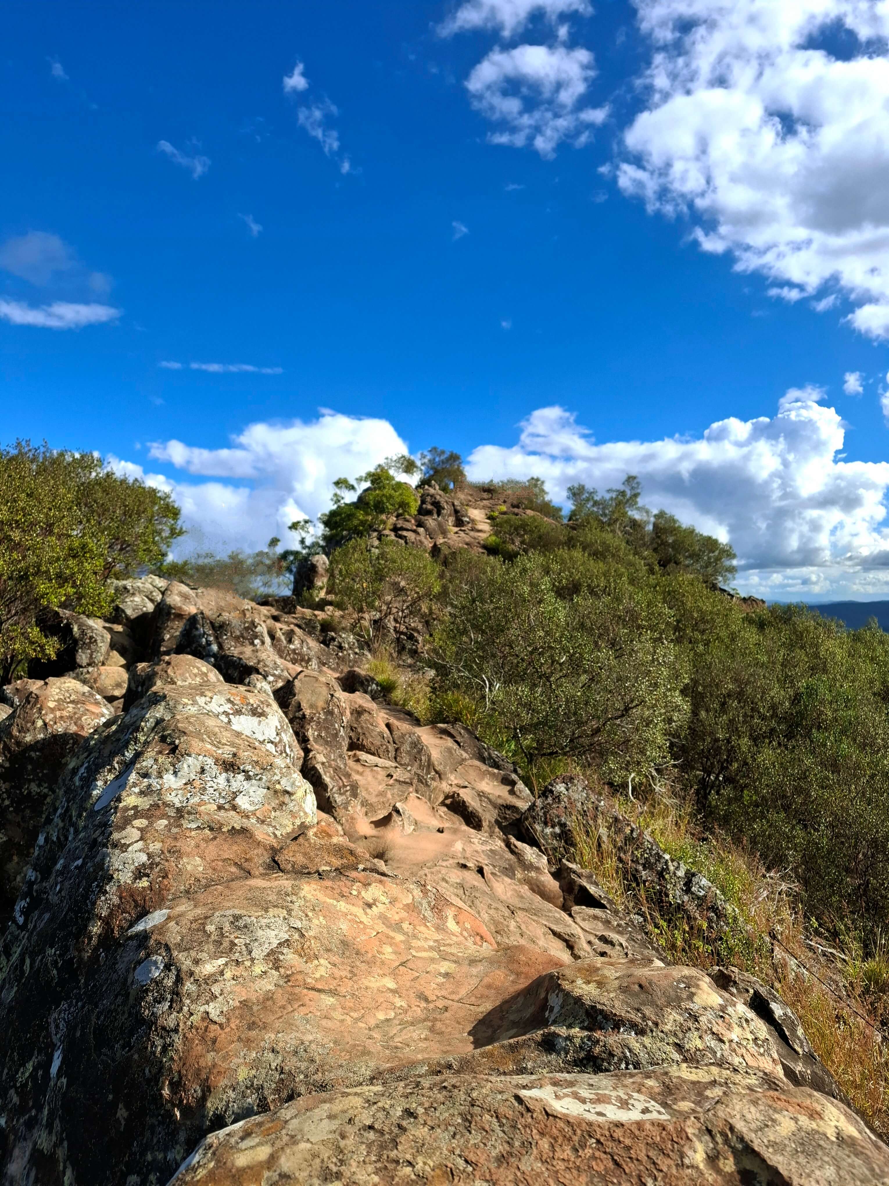 Narrow Ridge along top of Ngungun