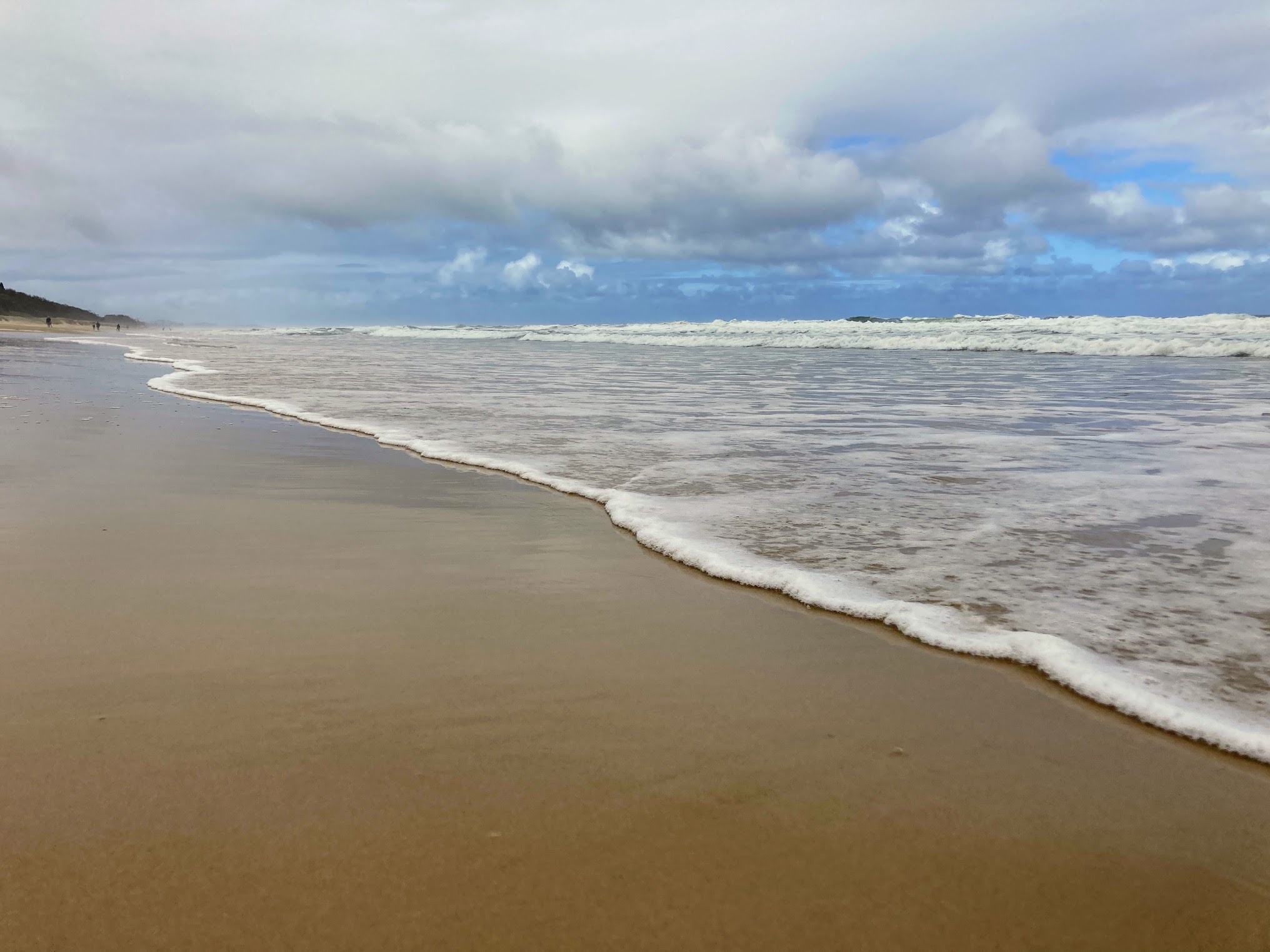 waves and foam coral sea waves and foam coral sea